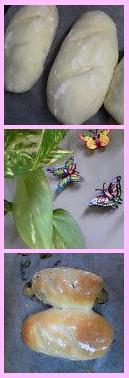 Late_b0079097_1332479.jpg