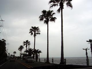 f0032403_17575721.jpg