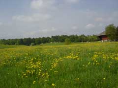 c0047812_22383716.jpg