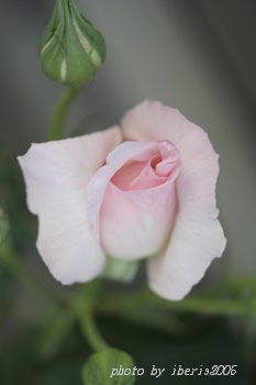 f0005733_19571344.jpg