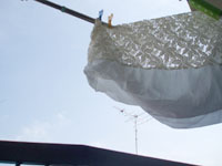 ＊おうちで＊　　2006,5,9_a0030038_01222.jpg