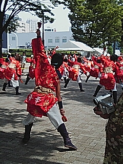 YOSAKOI ソーラン2005_b0076542_2055297.jpg