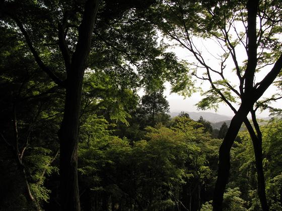 岡寺　日本最初の厄除けの寺_d0027244_1963076.jpg