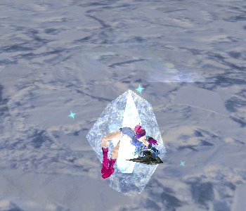 c0004352_4334846.gif