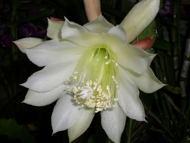 d0029756_9221429.jpg