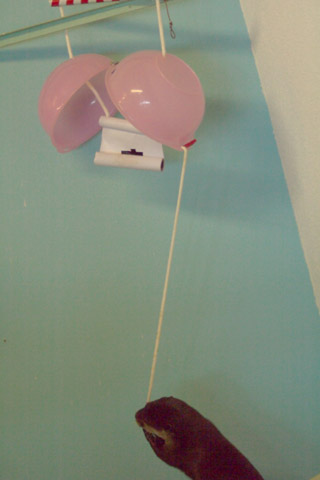 e0068257_17175591.jpg