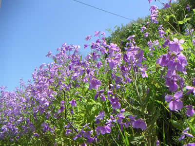f0024964_9304588.jpg