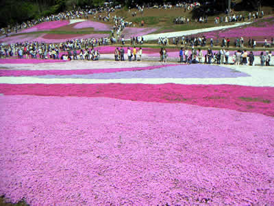 f0024964_9311232.jpg