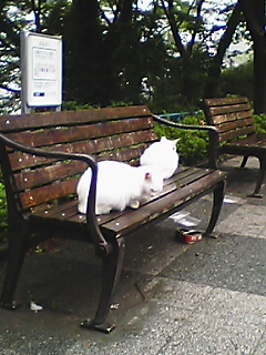 c0069766_9264740.jpg