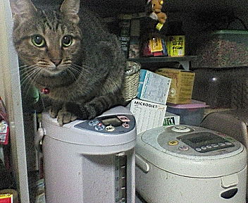 f0069266_2219172.jpg