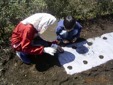 f0045667_7563879.jpg