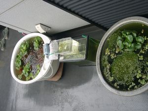 f0065167_2250246.jpg