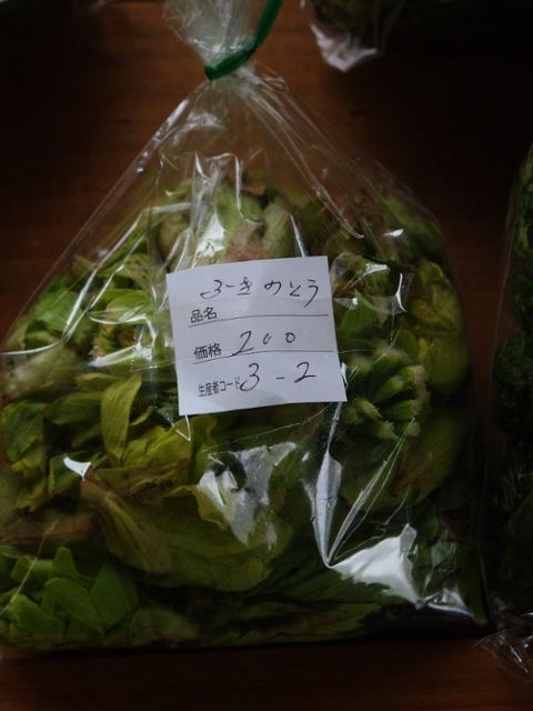 a0025576_22325311.jpg