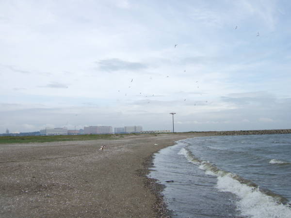 c0075585_23131158.jpg