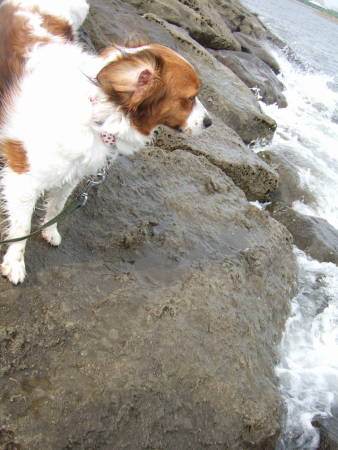 c0075585_2373216.jpg