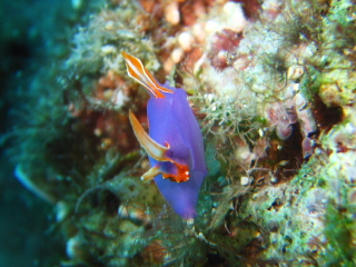 f0080385_71542.jpg