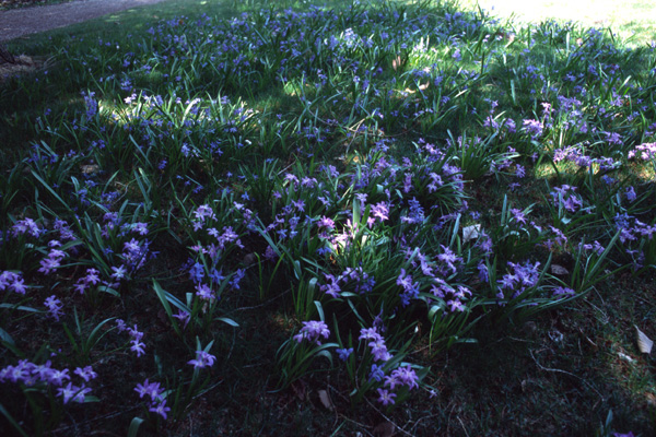 b0043304_23425454.jpg