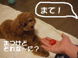 a0007906_8372212.jpg