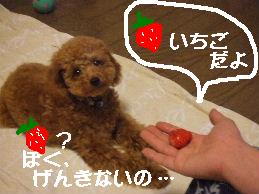 a0007906_839110.jpg