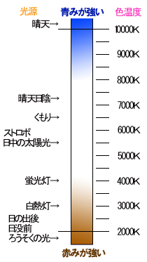写真のいろは 色にも温度があります_f0100215_21191596.jpg