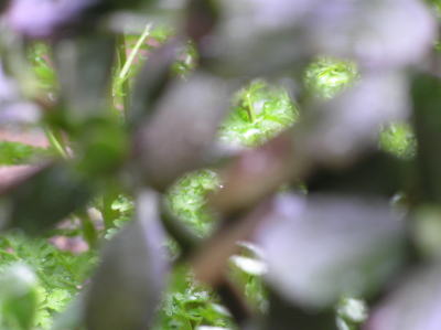 b0009118_002865.jpg