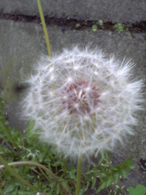 b0053444_2342246.jpg