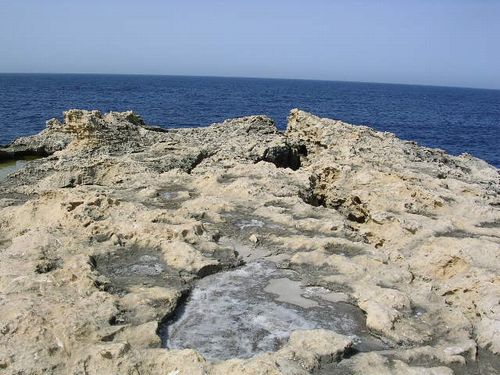 南イタリア(7) 世界遺産の島マルタとピアスデビュー_f0060461_20583947.jpg