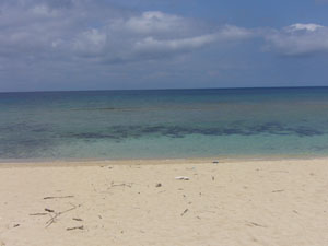 f0079980_07388.jpg
