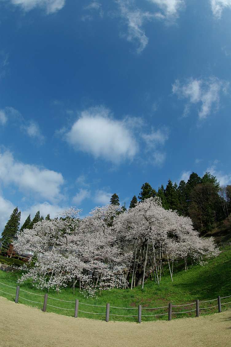 a0030792_2435388.jpg