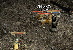 b0052295_0583684.gif