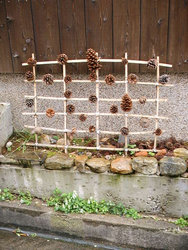 雨ふる、ならまち＿～新薬師寺_b0006096_20374537.jpg