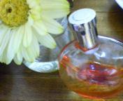 Ready?_b0079097_235346.jpg