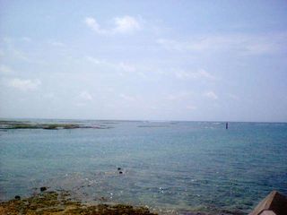 d0017310_13192039.jpg