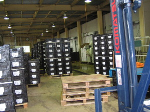 最終入荷_f0067514_2117531.jpg