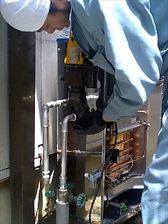 e0091220_1925866.jpg