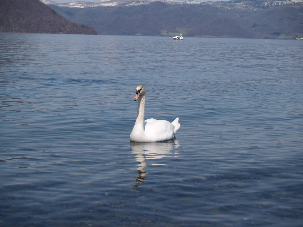 特別企画　ＧＷ家族旅行その2　『白鳥の湖　洞爺湖編』_a0045852_2135323.jpg