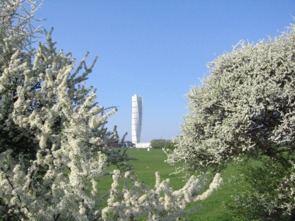 f0023570_68345.jpg