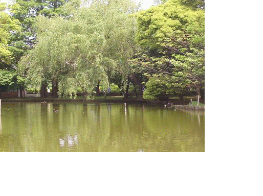 f0092775_2224439.gif