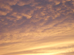 f0079980_15347.jpg