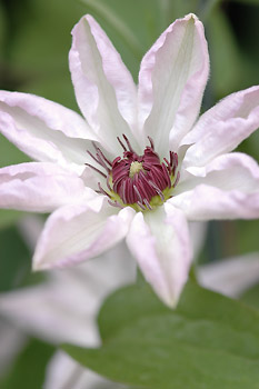 c0026690_23393137.jpg