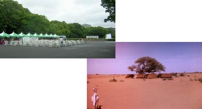 上野公園のグリーンのテントとキャンプの病人用テント_f0045090_1385254.jpg