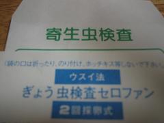 ぎょう虫検査と寄生虫検査 走る ゆうゆう 親子