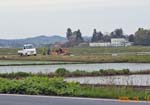 田植え、やっぱり雨でした。_d0026905_22101451.jpg