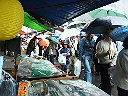e0028505_1301414.jpg