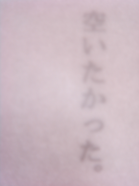 e0041310_029785.jpg
