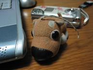仕方ないっか?_c0049950_2205121.jpg