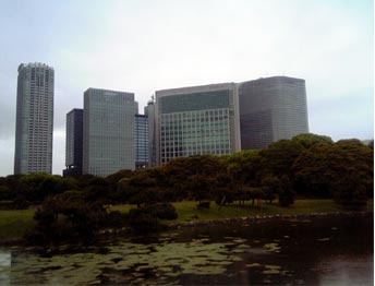 e0036563_1083921.jpg