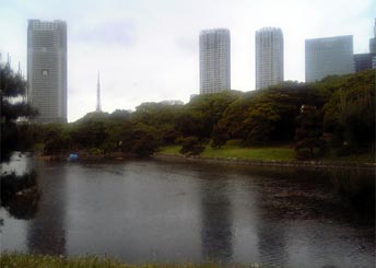 e0036563_1091387.jpg