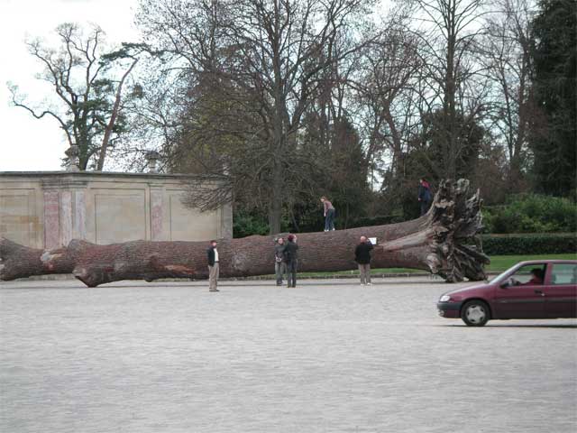f0036603_2248433.jpg