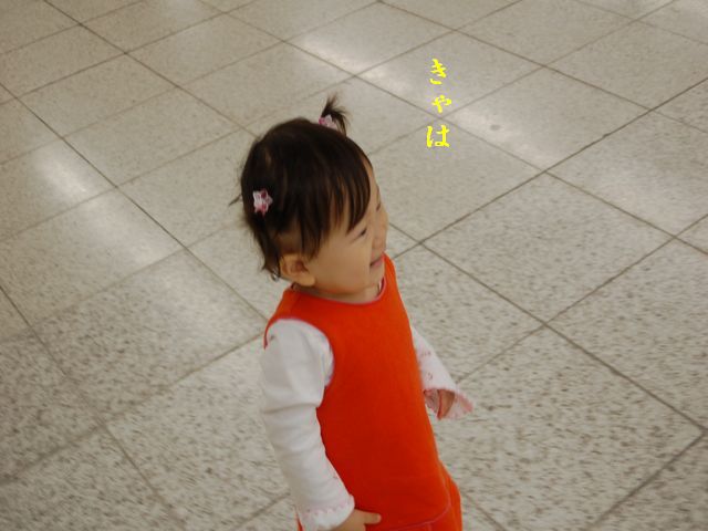 e0094407_23254482.jpg